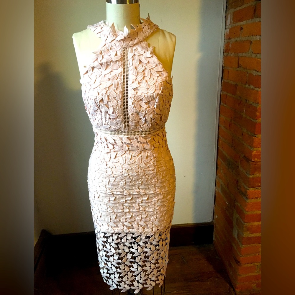 Bardot Gemma Lace Sheath dress size small (runs small!),